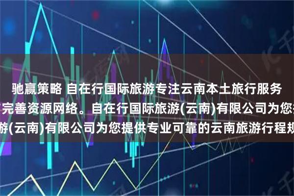 驰赢策略 自在行国际旅游专注云南本土旅行服务，拥有丰富地接经验与完善资源网络。自在行国际旅游(云南)有限公司为您提供专业可靠的云南旅游行程规划