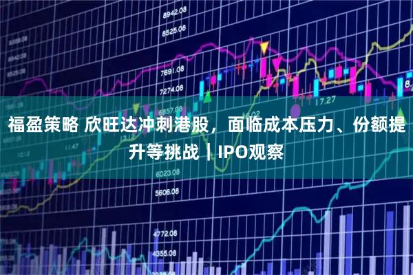福盈策略 欣旺达冲刺港股，面临成本压力、份额提升等挑战｜IPO观察