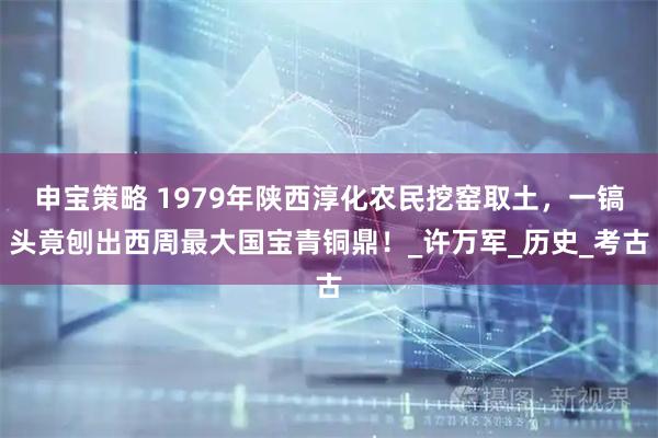 申宝策略 1979年陕西淳化农民挖窑取土，一镐头竟刨出西周最大国宝青铜鼎！_许万军_历史_考古